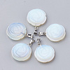 Opalite Pendants G-S343-14-1