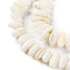 Natural Anomaly Freshwater Shell Beads Strands BSHE-S304-05C-3