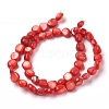 Freshwater Shell Beads Strands BSHE-O017-07-2