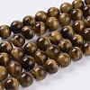 Tiger Eye Beads Strands X-G-C076-12mm-1B-1