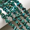 Natural HuBei Turquoise Bead Strands G-H345-A01-14-1