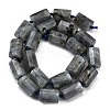 Natural Labradorite Beads Strands G-G162-D13-02-3