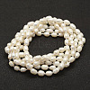 Natural Pearl Beads Necklaces NJEW-F144-03-01-2