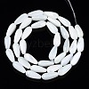 Natural Trochid Shell/Trochus Shell Beads Strands X-SSHEL-N034-95B-B01-2