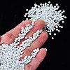 8/0 Glass Seed Beads SEED-S061-A-979-10