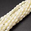 Natural Trochid Shell/Trochus Shell Beads Strands SSHEL-K008-06-1