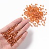 Glass Seed Beads SEED-US0003-4mm-109B-4