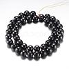 Magnetic Synthetic Hematite Bead Strands G-A165A-10mm-2