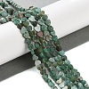 Natural Chrysocolla Beads Strands G-M403-A27-01-2