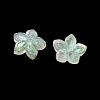 Dyed & Heated Glass Bead Caps GLAA-Z019-02E-2
