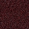 MIYUKI Round Rocailles Beads SEED-X0054-RR2410-3