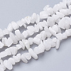 Natural White Jade Gemstone Beads Strands G-S280-19-1