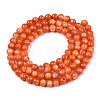 Natural Freshwater Shell Beads Strands SHEL-N003-24-B06-2