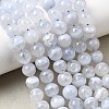 Grade A Natural Blue Lace Agate Beads Strands G-F222-29-8mm-1-8