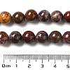 Natural Ocean Jasper Beads Strands G-H298-A13-04-5