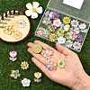 30Pcs 15 Styles Acrylic Cabochons MACR-SZ0001-91-3