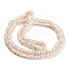 AB Color Plated Glass Beads Strands EGLA-P051-06B-B07-3