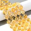 Natural Citrine Bead Strands G-C116-A05-01-2