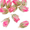 10Pcs Transparent Acrylic Pendants SACR-TA0001-66A-3