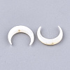 Freshwater Shell Beads SHEL-T012-12-2