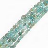 Natural Apatite Beads Strands G-S301-15-1