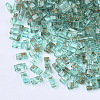 2-Hole Transparent Glass Seed Beads SEED-S023-30B-21-1
