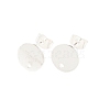 Ion Plating(IP) 304 Stainless Steel Stud Earring Findings STAS-G178-01S-10mm-1