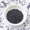 MIYUKI Delica Beads SEED-X0054-DB2206-2
