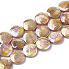 Freshwater Shell Beads Strands X-SHEL-S274-52C-1