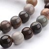 Natural Ocean Jasper Bead Strands G-K152-06-10mm-2