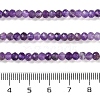 Natural Amethyst Beads Strands G-N342-24-5