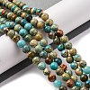 Dyed Natural Regalite/Imperial Jasper/Sea Sediment Jasper Beads Strands X-G-B124-C02-06-2