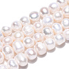 Natural Cultured Freshwater Pearl Beads Strands PEAR-N013-08G-3