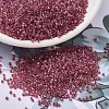 MIYUKI Delica Beads SEED-X0054-DB1746-1
