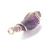 Rough Natural Amethyst Pendants PALLOY-JF01443-01-5