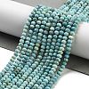 Natural HuBei Turquoise Beads Strands G-G140-B02-03-2