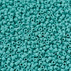 MIYUKI Delica Beads SEED-X0054-DB0759-3