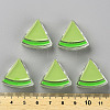 Transparent Enamel Acrylic Beads LS-TACR-S155-001D-4