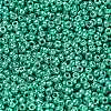 MIYUKI Round Rocailles Beads X-SEED-G007-RR5105-2