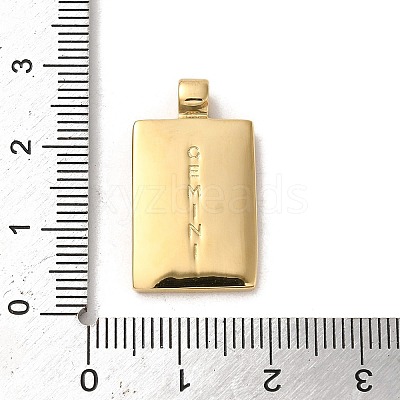 304 Stainless Steel Pendants STAS-L022-306G-03-1