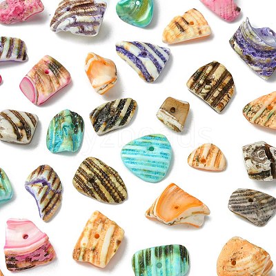 125G 5 Colors Natural Shell Bead Strands BSHE-FS0001-06A-1