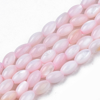 Natural Freshwater Shell Beads Strands SHEL-N003-25-B06-1