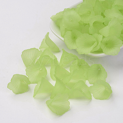 Transparent Acrylic Bead Caps LS-X-PL551-C18-1