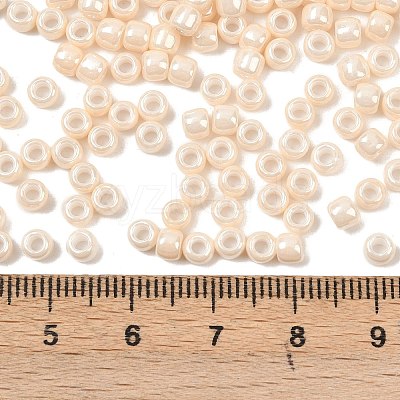 TOHO 6/0 Round Beads X-SEED-TR06-0123-1