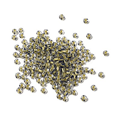 Transparent Stripe Glass Seed Beads LS-GLAA-NH0001-06G-1