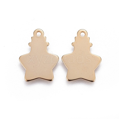 304 Stainless Steel Pendants STAS-F192-041G-1