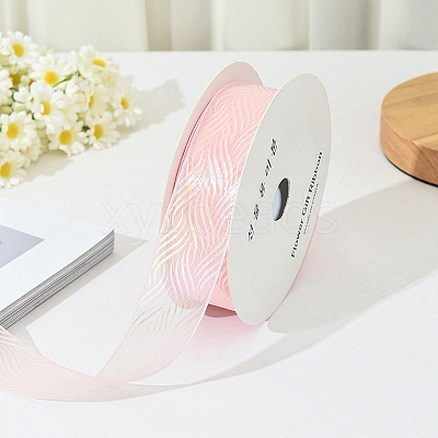 18M Iridescent Polyester Organza Ribbons PW-WG17147-02-1