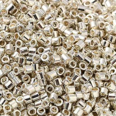 Electroplate Glass Seed Beads SEED-S042-01B-08-1