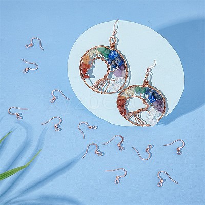 316 Surgical Stainless Steel Earring Hooks STAS-P220-13RG-1
