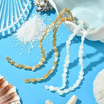 2 Strands 2 Colors Natural Shell Beads Strands SHEL-CJ0001-35-1